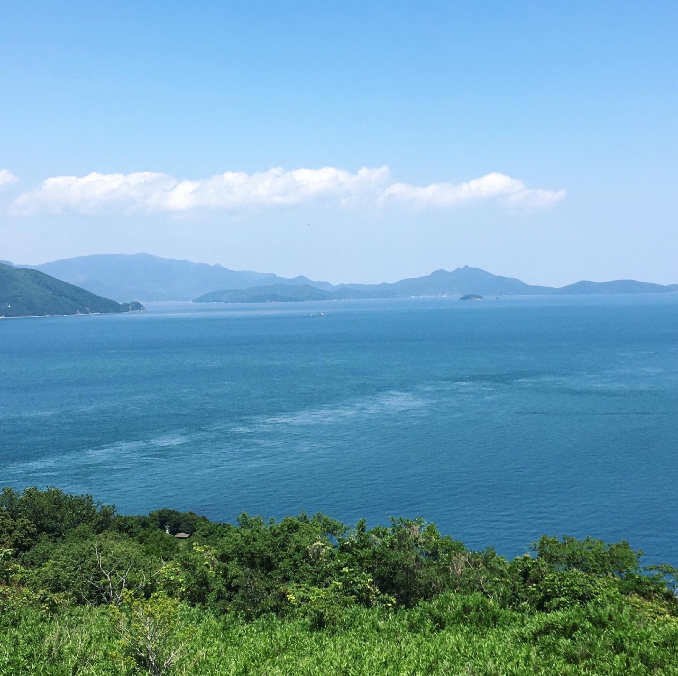 観光・体験企画の現場